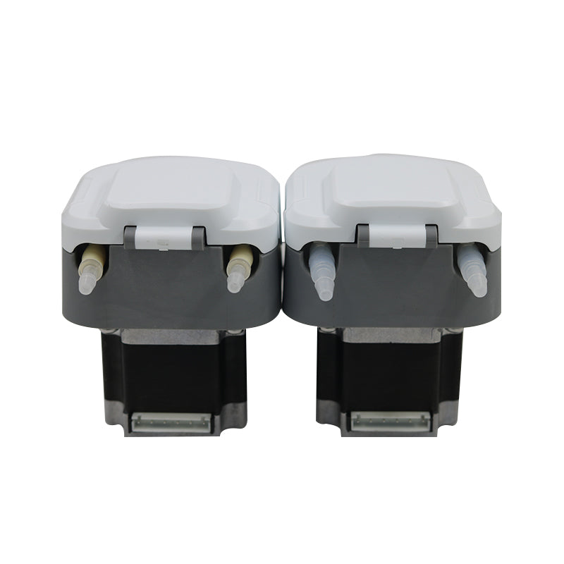 Bomba peristáltica con motor paso a paso BP300, dosificación de líquidos de alto volumen y precio de 300 ml/min