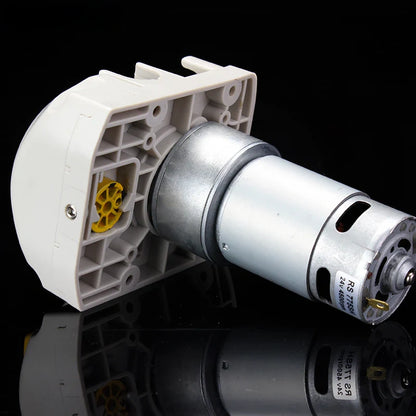 503Z/ZL Commercial High Volume Peristaltic Pump OEM with DC Motor 12V/24v