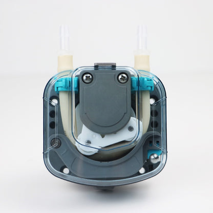 BP2000 Stepper Motor Peristaltic Pump 12V 24V With Pump Tubing OEM Coffee Syrup Wine Transfer