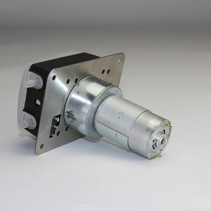 DC Motor Peristaltic Pump with Metal Housing and Panel Mount Bracket, OEM High Flow Liquid Transfer Pump
