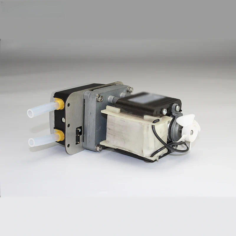 Dual Channel OEM Peristaltic Pump with DC Motor and Silicone Tubing, High Flow Rate Liquid Dosing Pump
