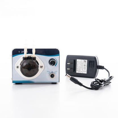 ZP200 Variable Speed Peristaltic Metering Pump for Laboratory, Inkjet, Food and Disinfection Equipment, 8W DC Motor, Shanghai China
